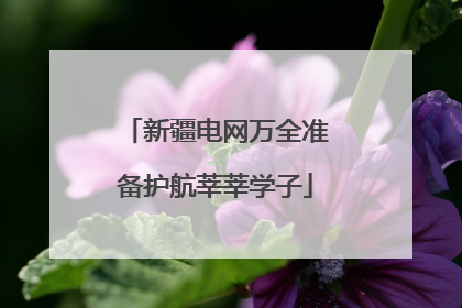 新疆电网万全准备护航莘莘学子