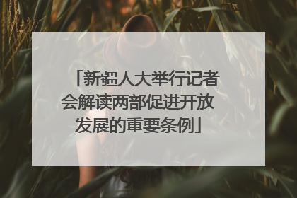 新疆人大举行记者会解读两部促进开放发展的重要条例