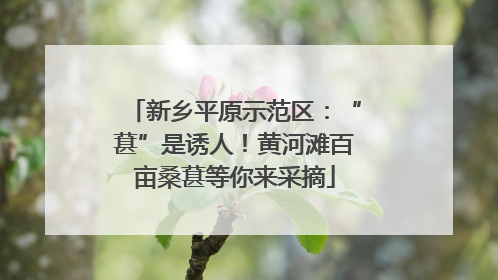 新乡平原示范区：“葚”是诱人！黄河滩百亩桑葚等你来采摘