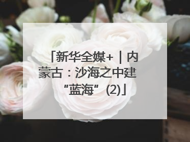 新华全媒+｜内蒙古：沙海之中建“蓝海”(2)