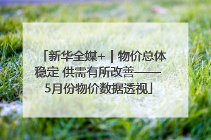 新华全媒+｜物价总体稳定 供需有所改善——5月份物价数据透视