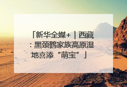 新华全媒+｜西藏：黑颈鹤家族高原湿地喜添“萌宝”