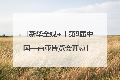 新华全媒+丨第9届中国—南亚博览会开幕