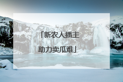 新农人播主 助力卖瓜难