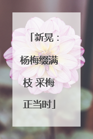 新晃：杨梅缀满枝 采梅正当时