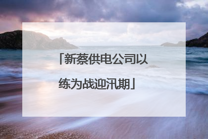 新蔡供电公司以练为战迎汛期