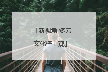 新视角 多元文化壁上观