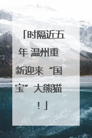 时隔近五年 温州重新迎来“国宝”大熊猫！