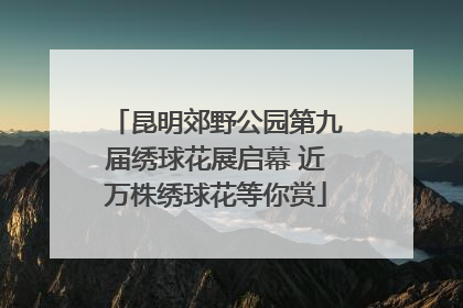 昆明郊野公园第九届绣球花展启幕 近万株绣球花等你赏