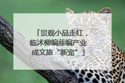 景观小品走红，临沭柳编藤编产业成文旅“新宠”