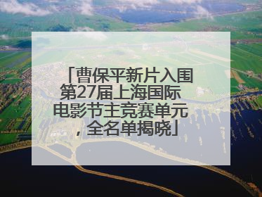 曹保平新片入围第27届上海国际电影节主竞赛单元，全名单揭晓