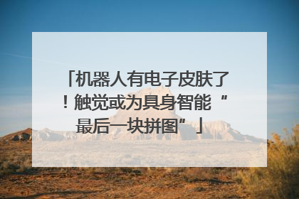 机器人有电子皮肤了！触觉或为具身智能“最后一块拼图”