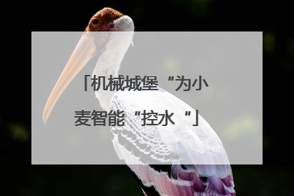 机械城堡“为小麦智能“控水“