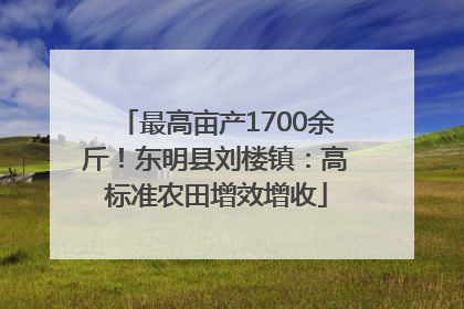 最高亩产1700余斤！东明县刘楼镇：高标准农田增效增收
