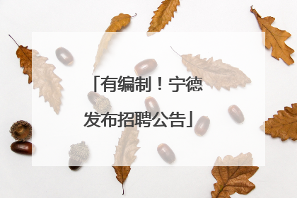 有编制！宁德发布招聘公告