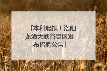本科起报！洛阳龙潭大峡谷景区发布招聘公告