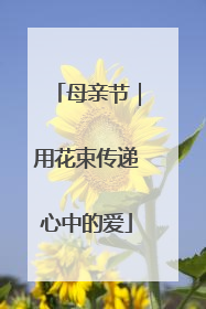 母亲节｜用花束传递心中的爱