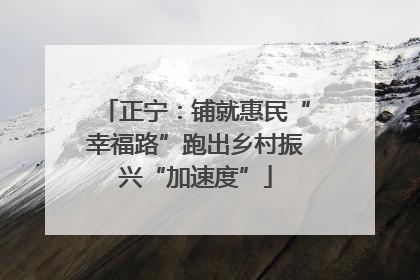 正宁：铺就惠民“幸福路”跑出乡村振兴“加速度”