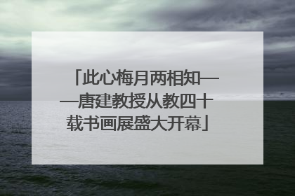 此心梅月两相知——唐建教授从教四十载书画展盛大开幕