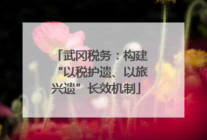 武冈税务：构建“以税护遗、以旅兴遗”长效机制