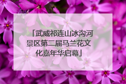 武威祁连山冰沟河景区第二届马兰花文化嘉年华启幕