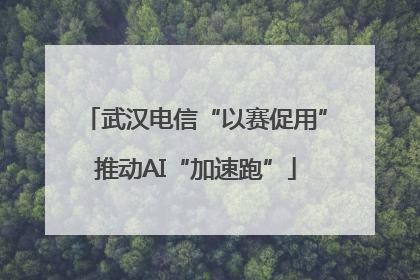 武汉电信“以赛促用”推动AI“加速跑”
