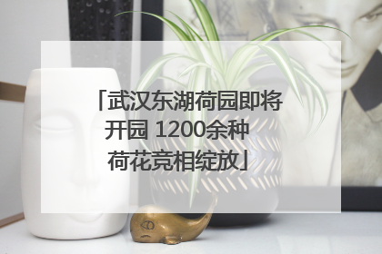 武汉东湖荷园即将开园 1200余种荷花竞相绽放