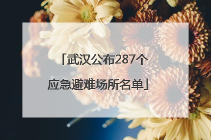 武汉公布287个应急避难场所名单