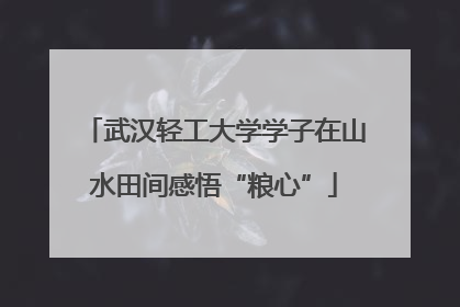 武汉轻工大学学子在山水田间感悟“粮心”