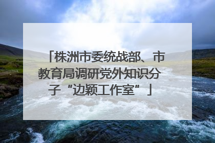 株洲市委统战部、市教育局调研党外知识分子“边颖工作室”