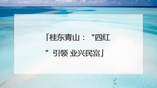 桂东青山：“四红”引领 业兴民富