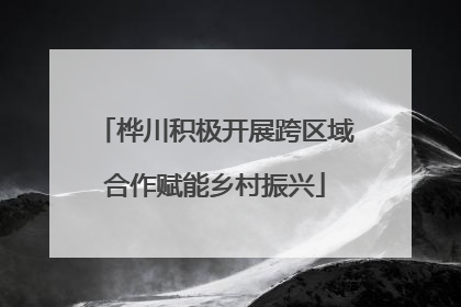 桦川积极开展跨区域合作赋能乡村振兴