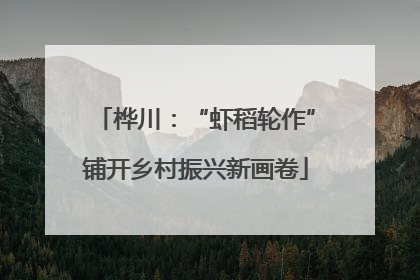 桦川：“虾稻轮作”铺开乡村振兴新画卷