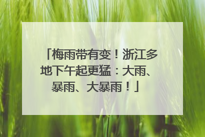 梅雨带有变！浙江多地下午起更猛：大雨、暴雨、大暴雨！