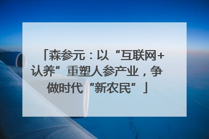 森参元：以“互联网+认养”重塑人参产业，争做时代“新农民”