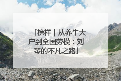 榜样｜从养牛大户到全国劳模：刘琴的不凡之路
