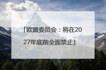 欧盟委员会：将在2027年底前全面禁止