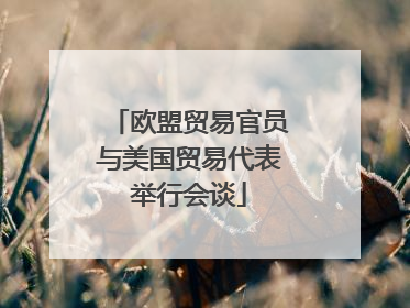 欧盟贸易官员与美国贸易代表举行会谈