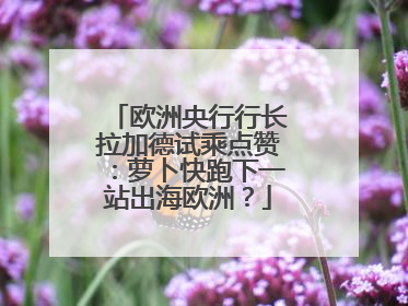 欧洲央行行长拉加德试乘点赞：萝卜快跑下一站出海欧洲？