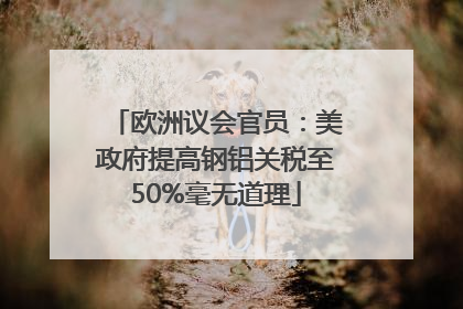 欧洲议会官员：美政府提高钢铝关税至50%毫无道理