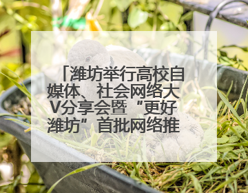 潍坊举行高校自媒体、社会网络大V分享会暨“更好潍坊”首批网络推介官聘任仪式