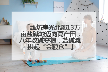 潍坊寿光北部13万亩盐碱地迈向高产田：八年改碱夺粮，盐碱滩拱起“金粮仓”