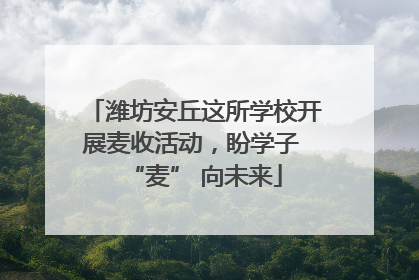 潍坊安丘这所学校开展麦收活动，盼学子 “麦” 向未来