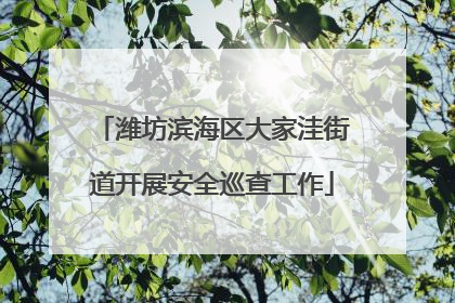 潍坊滨海区大家洼街道开展安全巡查工作