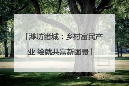 潍坊诸城：乡村富民产业 绘就共富新图景