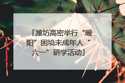 潍坊高密举行“暖阳”困境未成年人“六一”研学活动