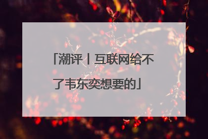 潮评丨互联网给不了韦东奕想要的