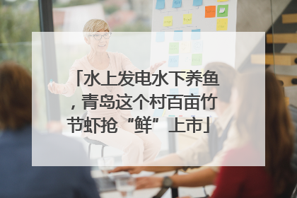 水上发电水下养鱼，青岛这个村百亩竹节虾抢“鲜”上市