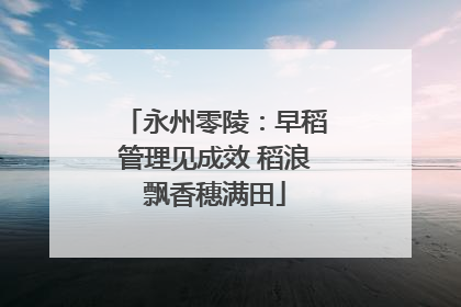 永州零陵：早稻管理见成效 稻浪飘香穗满田