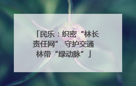 民乐：织密“林长责任网” 守护交通林带“绿动脉”